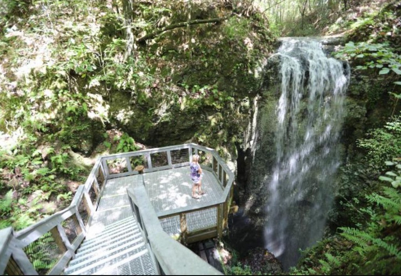 Falling Waters State Park 
1130 State Park Road, Chipley 
Falling Waters State Park is one of the very few places in Florida with waterfalls, courtesy of the sinkholes in the area. It may be a bit of a drive North, but it is well worth the trip to experience in person.
Photo via Falling Waters State Park/Website