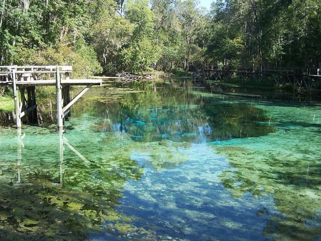  Ruth B. Kirby Gilchrist Blue Springs State Park 
7450 N.E. 60 St., High Springs
There&#146;s something magical about taking a dip in crystal clear water.
Photo via Glichrist Blue Spring State Park/Flickr, Paul Clark