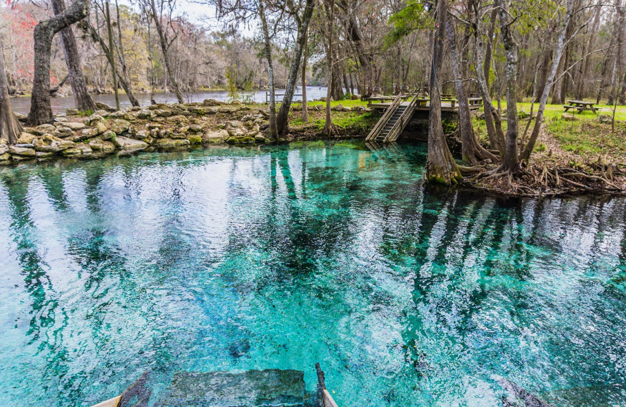 Ginnie Springs
5000 NE 60th Ave., High Springs | Distance: 2 hours 10 minutes 
Located on the Santa Fe River, Ginnie Springs is one of the clearest bodies of water in Florida. Choose one of the seven different springs for your afternoon splash-around or try to find a grotto hidden beneath the water&#146;s surface -- there are plenty for you to discover.
Photo via Adobe.
