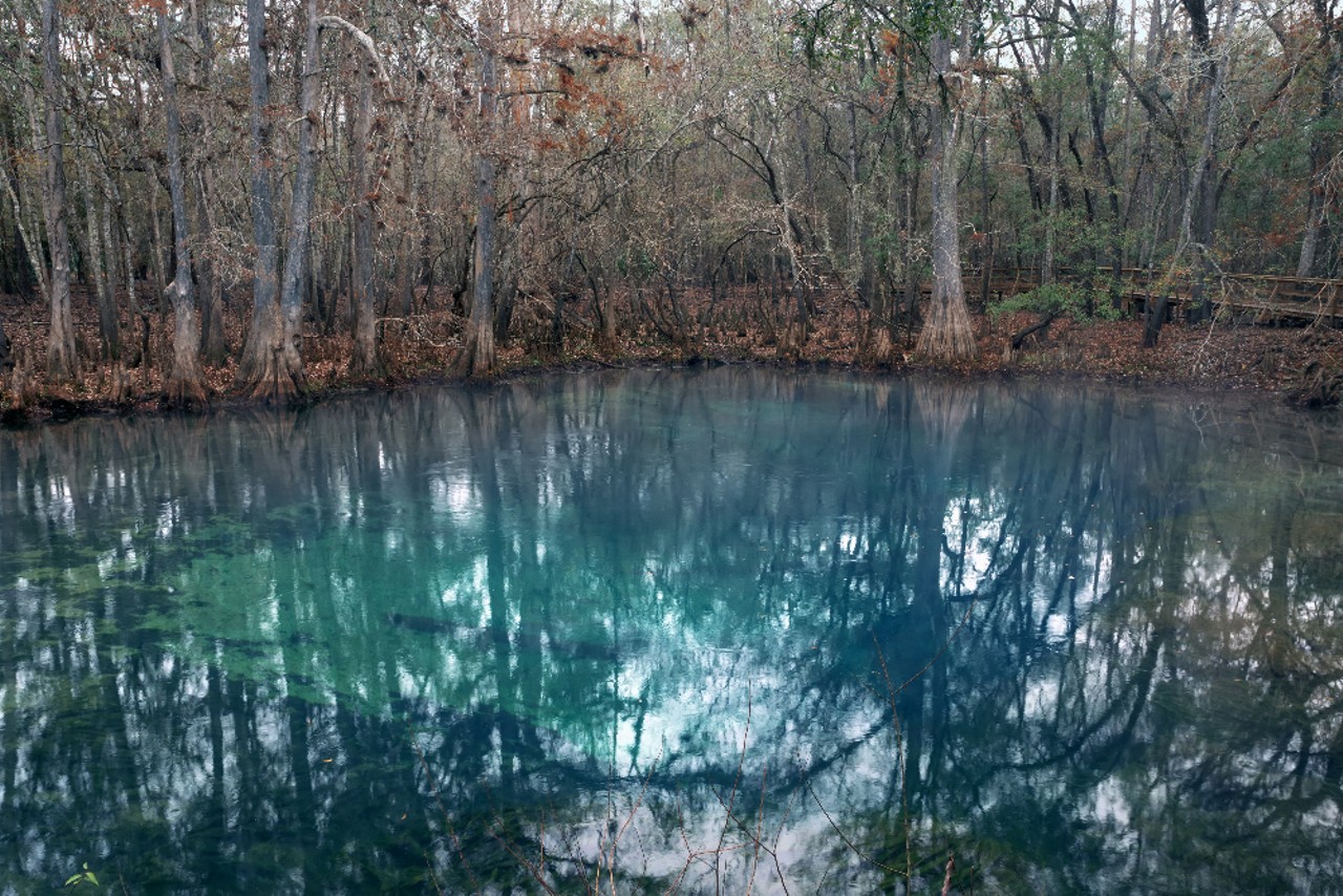Manatee Springs State Park
11650 NW 115th St., Chiefland | Distance: 2 hours 20 minutes 
At Manatee Springs, you get what you expect, which is a ton of manatees swimming around you. This spring is a water activity paradise, with canoeing and snorkeling on tap all year round. Manatee Springs also offers moonlight paddleboarding on the Suwanee River when the sun goes down.
Photo via Adobe.