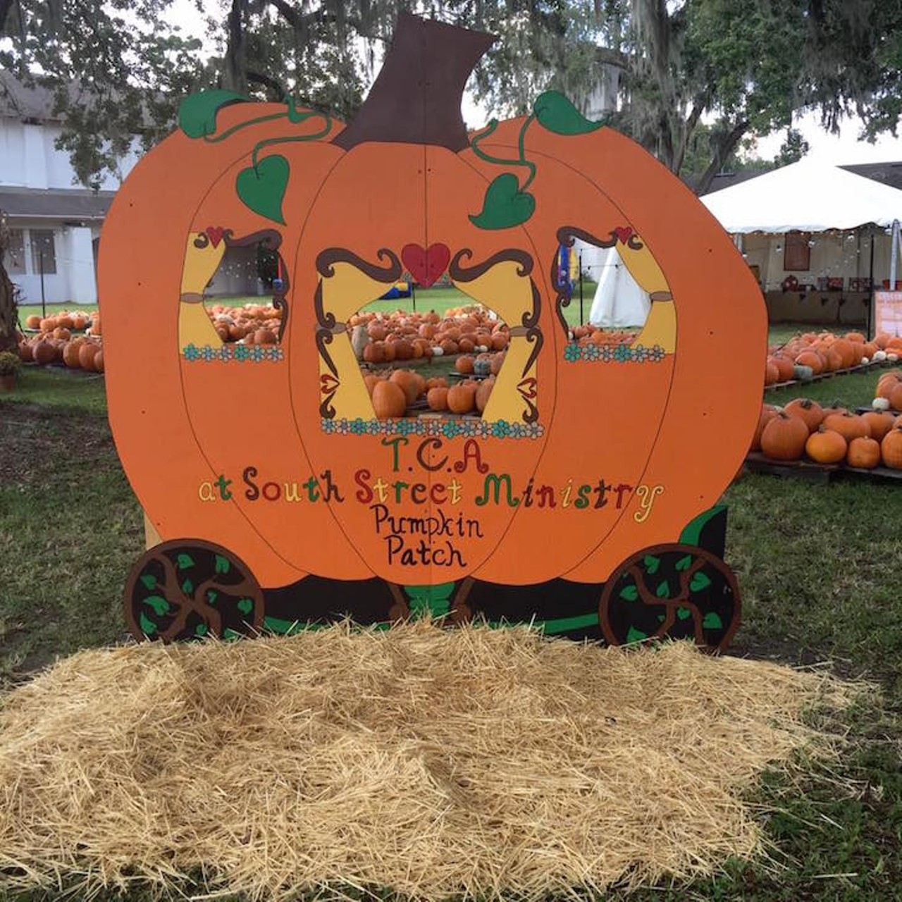 Trinity Christian Academy Orlando Pumpkin Patch
2113 E. South St., 407-894-2237 
From Oct. 15-30 you can get your pick of pumpkins at Trinity Christian Academy in Orlando. You can also partake in fall games, activities and food at the Fall Festival event on Oct. 20 at 6 p.m. 
Photo via Trinity Christian Academy Orlando/Facebook