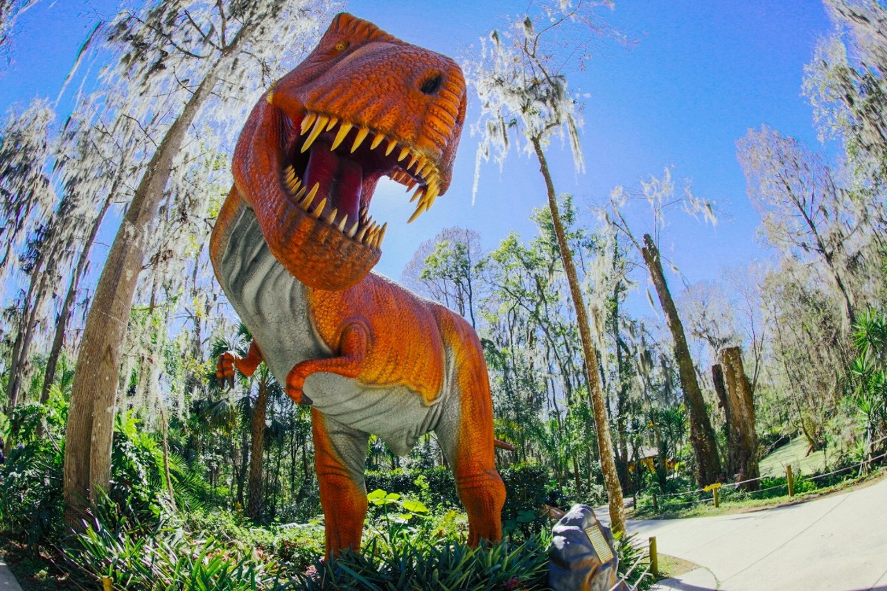 Dinosaur World
Tampa Bay's own prehistoric playground is the perfect place to wander around hundreds of life-sized dinosaurs in natural settings. The attraction offers a dino-themed play area, a massive interactive boneyard and a museum featuring a collection of animatronic beasts.