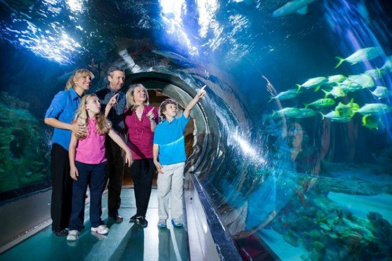 SEA LIFE Orlando Aquarium 
8449 International Dr, 407-270-8610, Open Now
SEA LIFE Orlando is now welcoming back visitors while implementing an enhanced cleaning regime, hand sanitizer stations throughout the building and social distancing. In-line capacity will also be limited to government recommendations. SEA LIFE is only accepting contactless payments and debit or credit cards to combat the spread of COVID-19. Although the interactive tide pool and childrens&#146; play area remain closed, all other attractions and marine life displays are open. 
Photo via SEA LIFE Orlando/Facebook