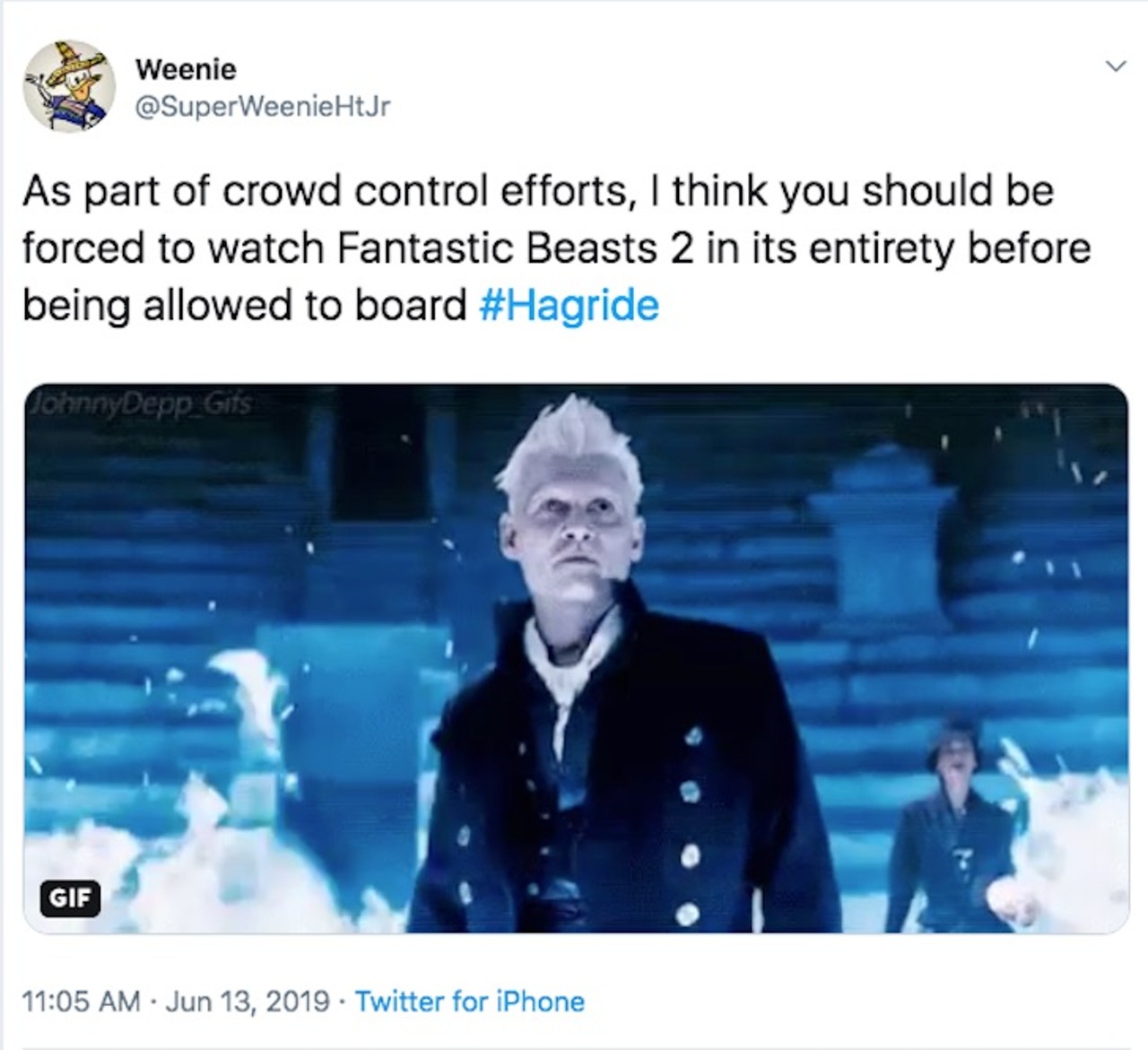 @SuperWeenieHtJr
"As part of crowd control efforts, I think you should be forced to watch Fantastic Beasts 2 in its entirety before being allowed to board #Hagride"