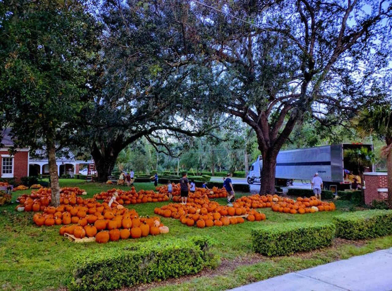 First Church Oviedo Pumpkin Patch
263 King Street, Oviedo, FL 32765, 407-365-3255
Join First Church Oviedo in celebrating fall at their pumpkin patch that will be open daily until Oct. 31. Their hours are from 10:30 a.m. to 8 p.m. and volunteers are also welcomed. Take beautiful photos and purchase a pumpkin or two, because all proceeds will be going to the Student Ministries of the First United Methodist Church Orlando and the Navajo Indian Mission.
Photo via First Church Oviedo Pumpkin Patch/Website