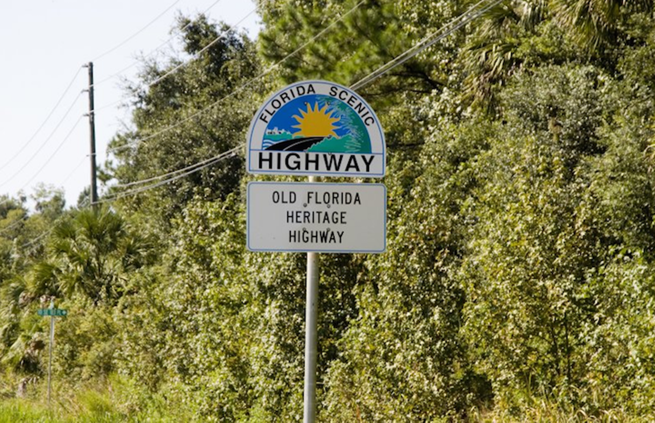 Old Florida Heritage
There&#146;s something for everyone on this 45-mile route from State Road 441 to the Alachua/Marion County line. If you&#146;re a history buff, Micanopy, Rochelle, Evinston and Cross Creek will bring you to towns straight from the past. Small lakes allow for waterfront relaxation, but there&#146;s canoeing opportunities in case you want to be more active. If you&#146;re a bird watcher, make sure to stop by in the winter time to witness the sandhill crane migration.
Photo via Florida Scenic Highway website