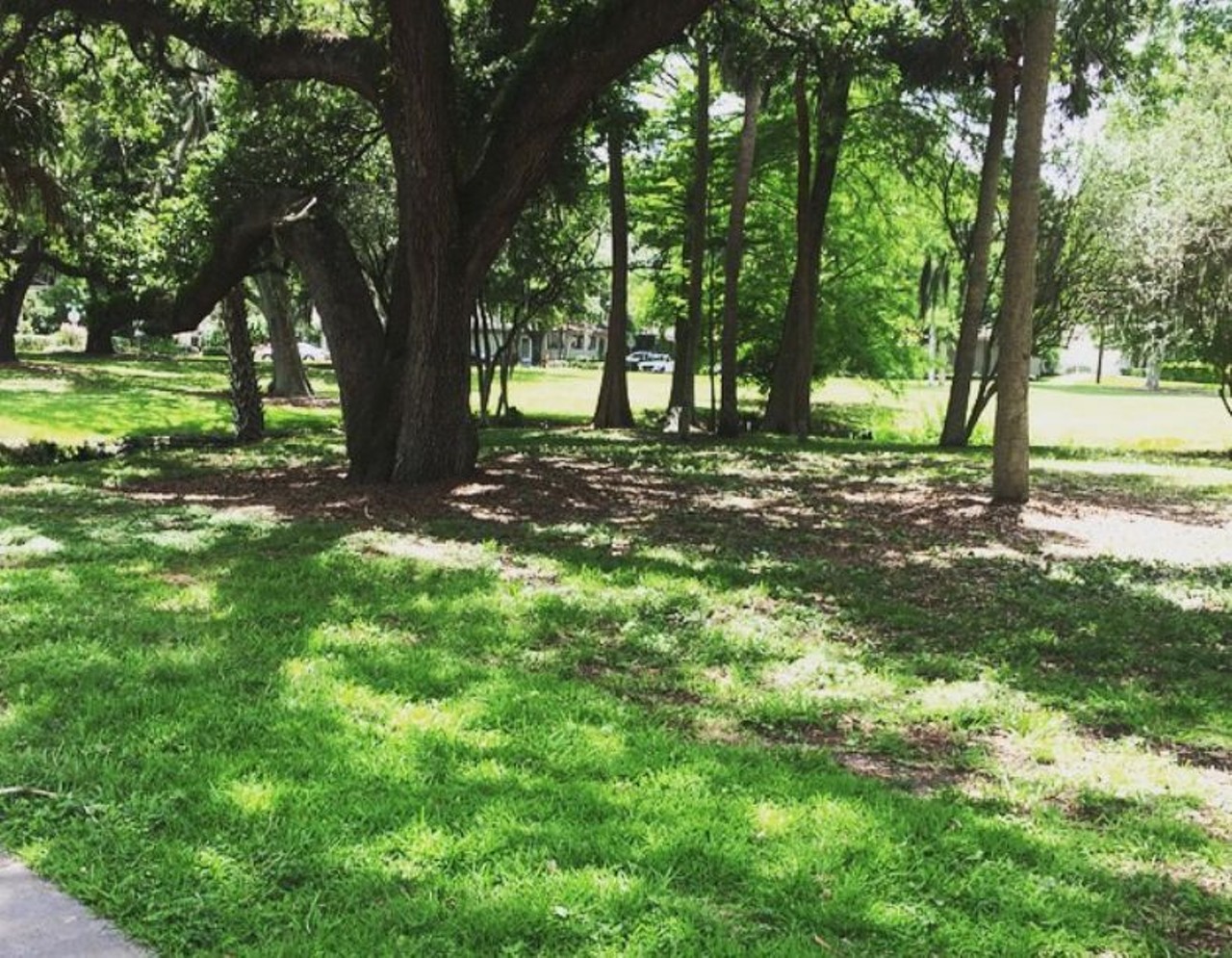 Al Coith Park  
901 Delaney Ave
This park has a ton of open space as well as large trees with plenty of shade. It also has a cricut station for those looking to get ready burn some extra calories outside.
Photo via yay_ak / Instagram