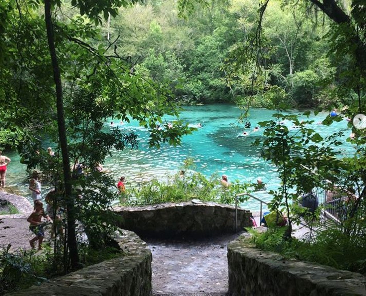 Ichetucknee Springs State Park
Estimated driving distance: 2 hours, 15 minutes
This spring is more than two hours away from Orlando, but boy is it worth the drive. Tube down this serene lazy river or go scuba diving in the caves of nearby Blue Hole Spring.
12087 S.W. U.S. Highway 27, Fort White
Photo via scottmpeck/Instagram