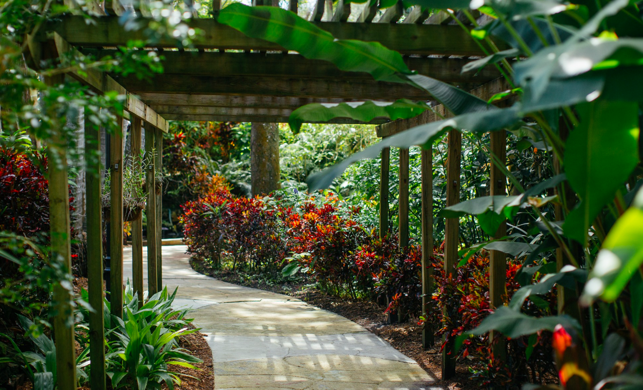St. Petersburg Sunken Gardens
1 hour and 51 minutes from Orlando
This 100-year-old botanical garden is the city's oldest living museum, and it's located right in the heart of St. Pete. Visitors can enjoy and admire thousands of tropical plant species, cascading waterfalls and flamingos on site.