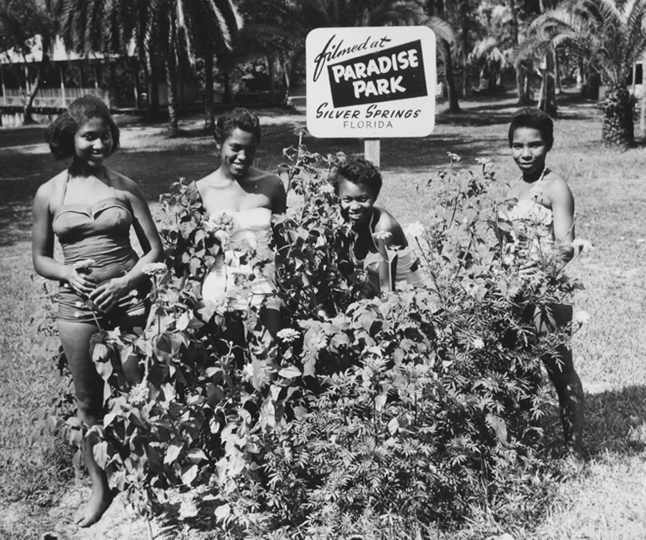A group of young women pose next to the azaleas on the grounds of Paradise Park. Photo by Bruce Mozert. By permission of Bruce Mozert. Courtesy of Marion County Black Archives. Reprinted with permission of the University Press of Florida.