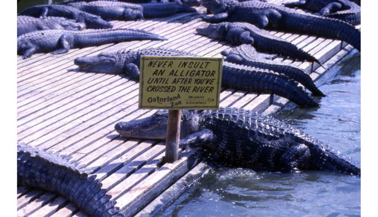 View showing alligators and sign.State Archives of Florida, Florida Memory