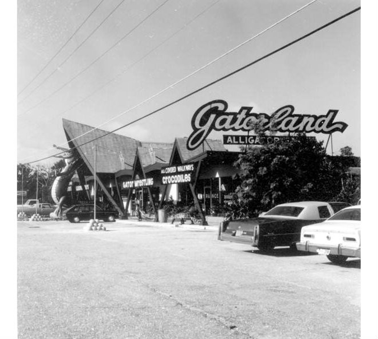 Gatorland attraction in St. Augustine.State Archives of Florida, Florida Memory