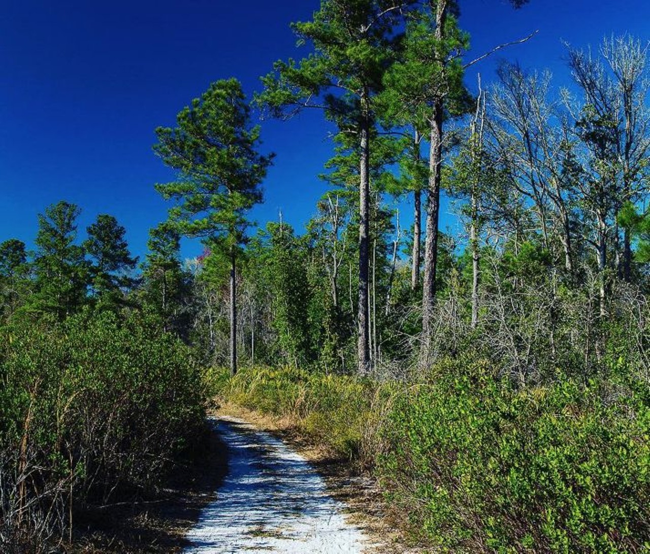Bear Creek Nature Trail
1535 Winter Springs Blvd., Winter Springs, FL 32708 
It may be smaller than other trails, but it&#146;s this very aspect, as well as the guiding light that is its loop shape, that makes this a perfect fit for the more inexperienced hikers out there. Follow along the creek for almost a mile for a free walk encompassing you in cypress, oaks and palms. 
Photo via shark8matt/Instagram