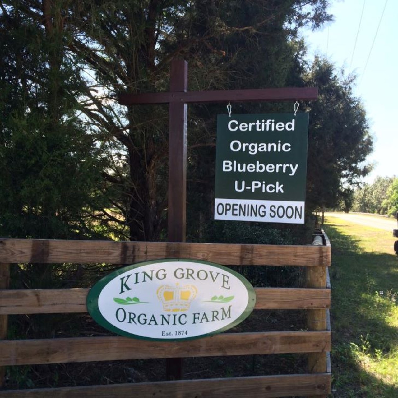 King Grove Organic Farm 
19714 County Road 44A, Eustis
Certified organic, King Grove will reopen for their 2021 season sometime in March, according to their website. Keep an eye open for news and updates there and on their Facebook page.
Photo via King Grove Organic Farm/Facebook