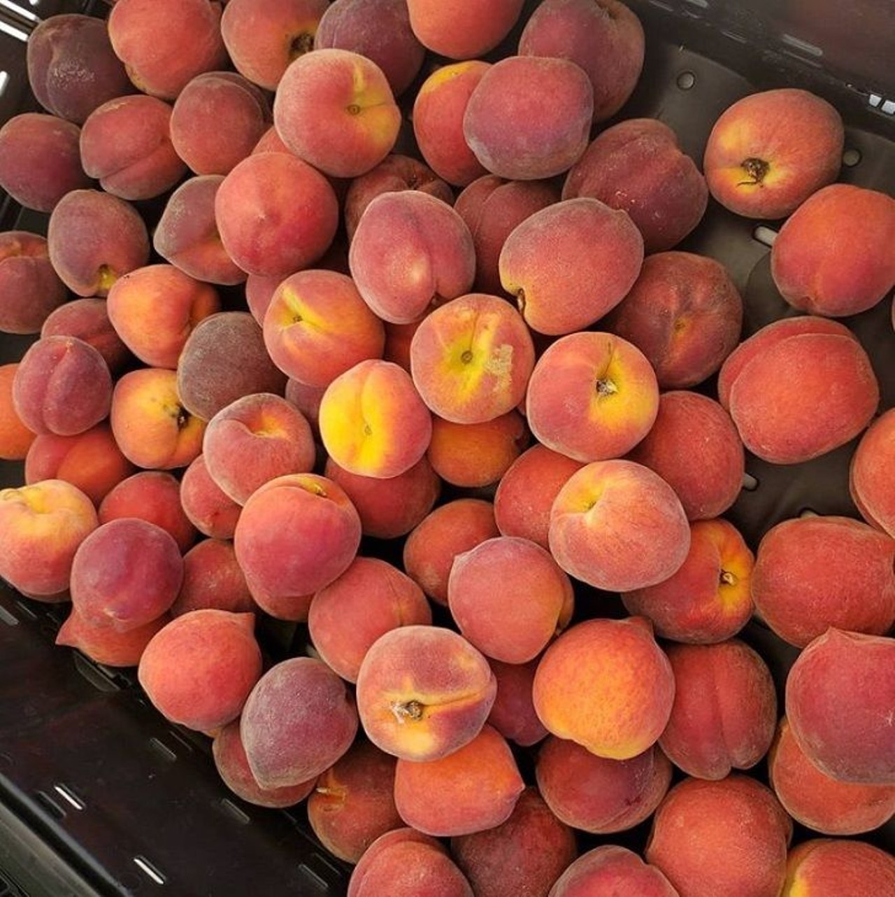 Premium Peach, LLC 
3920 Packard Ave., Saint Cloud
Set to open in April, this &#147;peachy-keen&#148; U-Pick will have all your peach needs covered. Anyone else ready for some peach cobbler?
Photo via Premium Peach LLC/Instagram