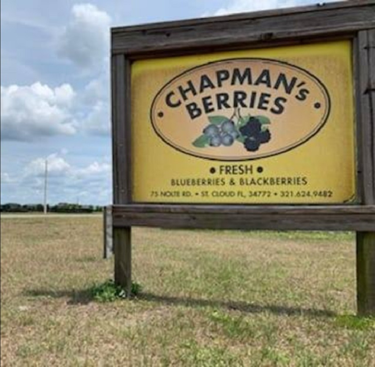 Chapman&#146;s Berries 
75 Nolte Road, Saint Cloud
Though they haven&#146;t opened up yet, Chapman&#146;s announced in late February that it wouldn&#146;t be long until their scrumptious blueberries were ripe for the picking.
Photo via Chapman&#146;s Berries/Facebook