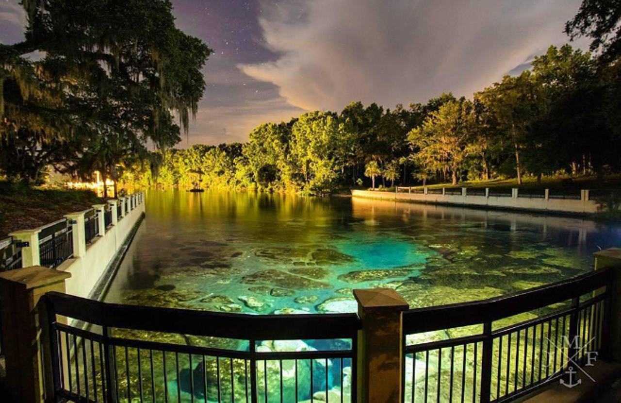 Salt Springs
Estimated driving distance from Orlando: 1 hour 32 min
With the largest camping grounds in Ocala National Forest, this spring area is the only to offer RV camping. Freshwater fishing and boating is allowed along the Salt Springs run. Camping ranges from $20.50 with no hookups and $29 for a full-hookup campsite. 
Photo via jonmonfishimagery/Instagram