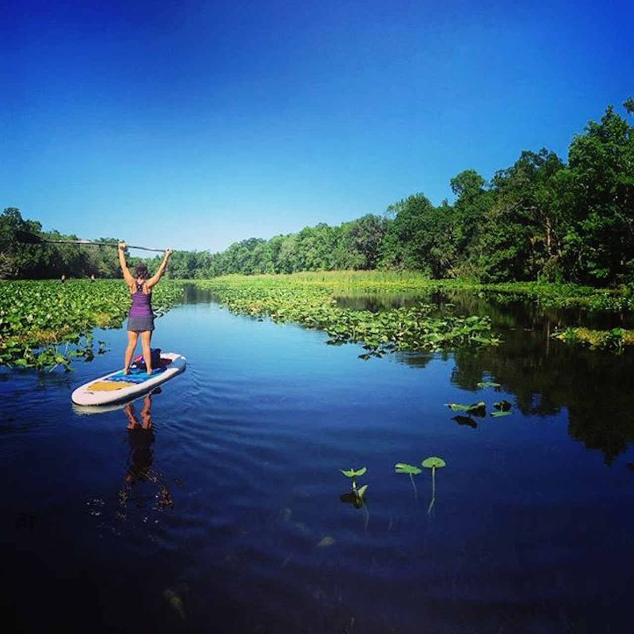 Wekiwa Springs
1800 Wekiwa Circle, Apopka
Distance from Orlando: 32 minutes
At Wekiwa Springs, you can take your time paddling the water to experience the historic scenery. Paddleboards can be rented at $20 for one hour, $35 for four hours, $10.65 per additional hour or $65 per day.
Photo via yoginictothep/Instagram