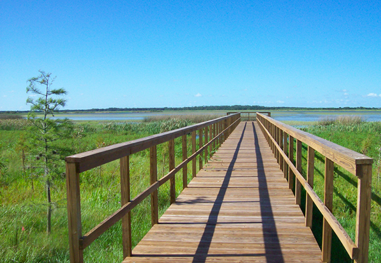 Twin Oaks Conservation Area
2001 Macy Island Road, Kissimmee
This grassy trail is perfect for the less experienced hikers, although it is geared toward all abilities. Along the 1.9-mile path, hikers are almost guaranteed to spot plenty of birds throughout the tall grasses and oak trees that line the board walk trail.