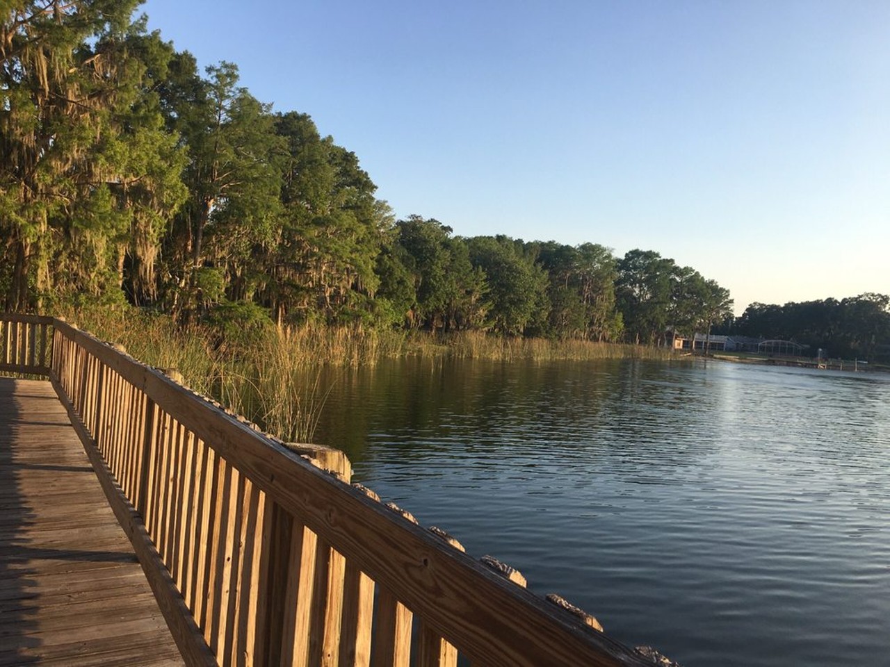 Clear Lake Park
2301 29th St., Orlando
This 1-mile loop is an ideal trail for hiking, birding, fishing and road biking. The trail is open year-round and is (leashed) dog friendly.