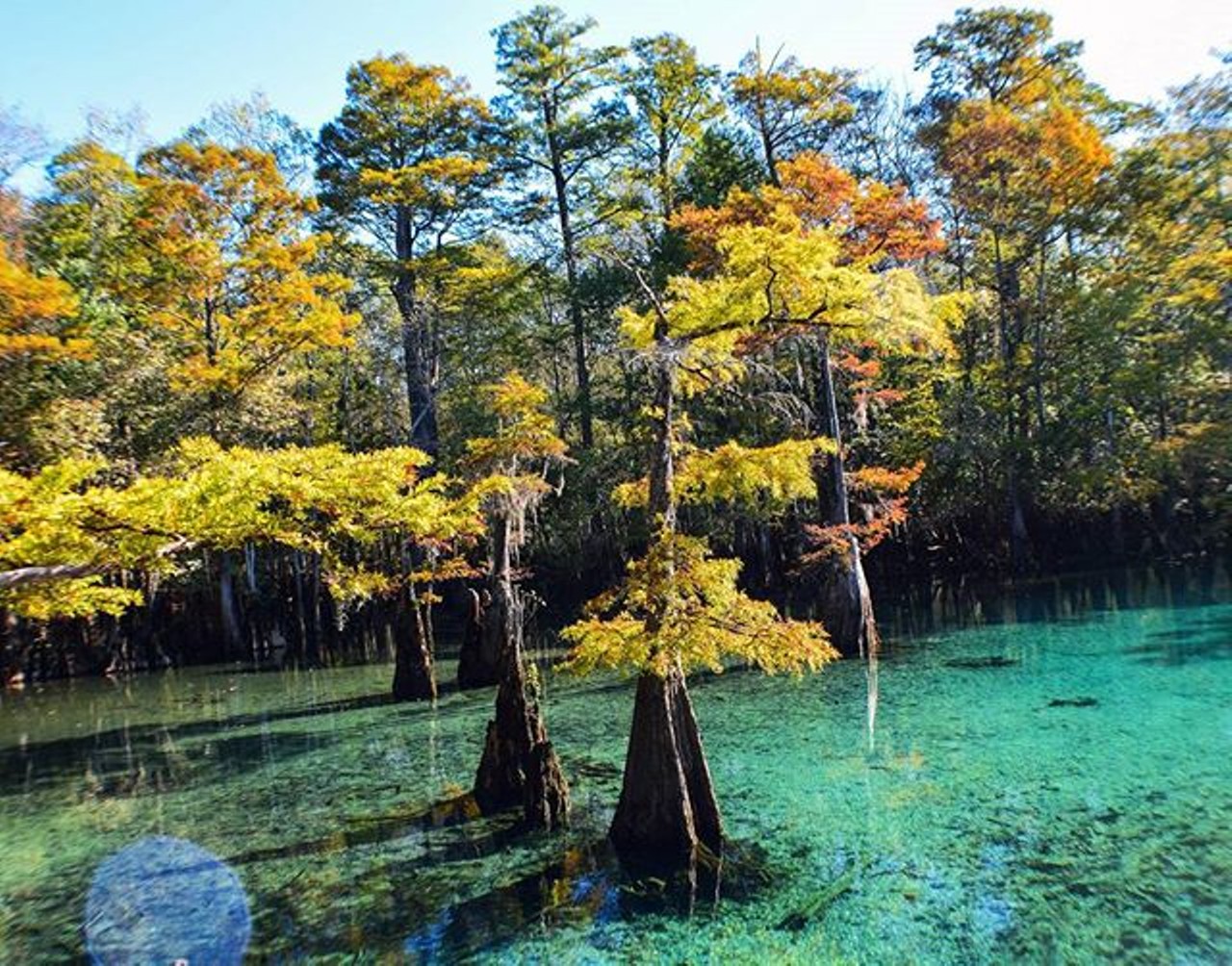 Morrison Springs 
Morrison Springs Road, Caryville, FL 32427
Estimated travel time: 5 hours, 10 minutes from Orlando
As one of the most popular diving spots in northwest Florida, the park&#146;s amenities don&#146;t stop there. There&#146;s a boat ramp downstream to avoid conflicts between divers and swimmers in the spring.
Photo via _rhii_harrison/Instagram