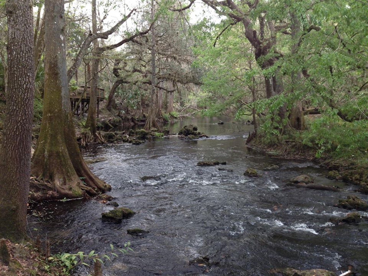 Hillsborough River State Park
Distance from Orlando: 1 hour 20 minutes
This state park&#146;s Class 2 rapids are perfect for those seeking a little thrill along with their camping trip. You can also take a guided tour of Fort Foster, the only standing replica of a Second Seminole War fort in the United States. 
Photo via Florida State Parks/Facebook