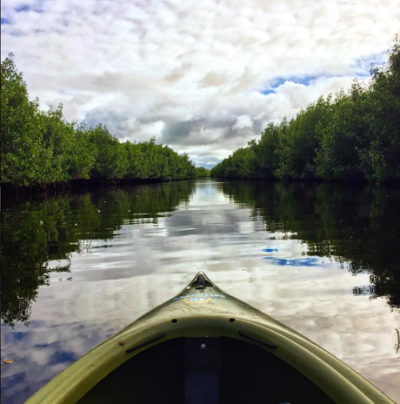 Collier-Seminole State Park
Distance from Orlando: 3 hours 40 minutes
This park offers both a primitive campground and a campground with electricity and water hookups. Campers can go on hiking trails ranging from 0.9 to 6.5 miles long, take a guided canoe trip, or ride on their off-road bicycle course. 
Photo via gggiraffy/Instagram