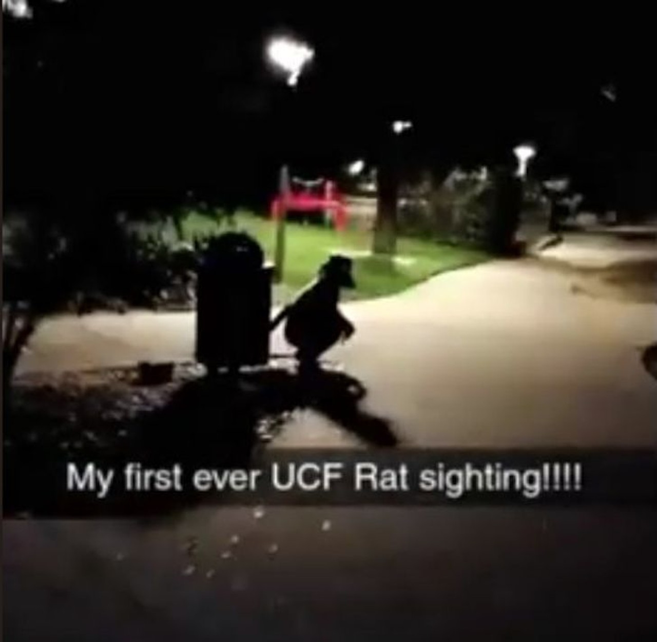 UCF&#146;s Rat Man
In 2018, University of Central Florida students began noticing &#147;Rat Man,&#148; an adult man wearing a makeshift rat mask and tail who silently walked around campus at night. Nobody knew whether he was a friend or foe, but he was often seen in the dark near trash cans and stopped a bike thief once. There have been no reported sightings of Rat Man since last May, but hopefully the rodent hero is still at large. 
Photo via Twitter/UCF Police Department