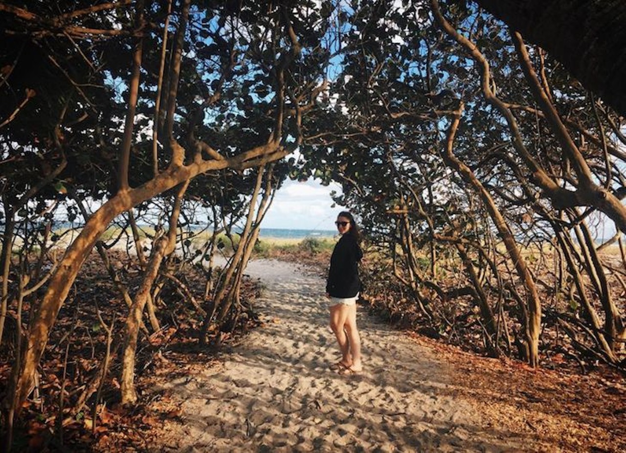 Delray Beach
2 hours, 55 minutes away
If you&#146;re feeling adventurous, why not feed a couple of sharks in the morning at Sandoway House Nature Center and then rent a kayak or paddle board in the afternoon to take these calm ocean waves by storm. 
Photo via siobhaannn/Instagram