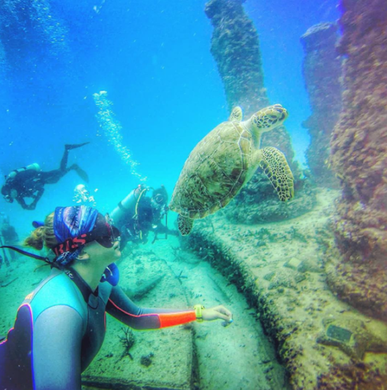 Neptune Memorial Reef
300 Alton Road, Miami Beach | 954-655-3592
Cremated ashes are mixed with cement to form these super goth memorials that make up a 16-acre artificial reef called Neptune Memorial Reef. These sunken monoliths are located about three miles off the coast of Key Biscayne.
Photo via laurendafish/Instagram