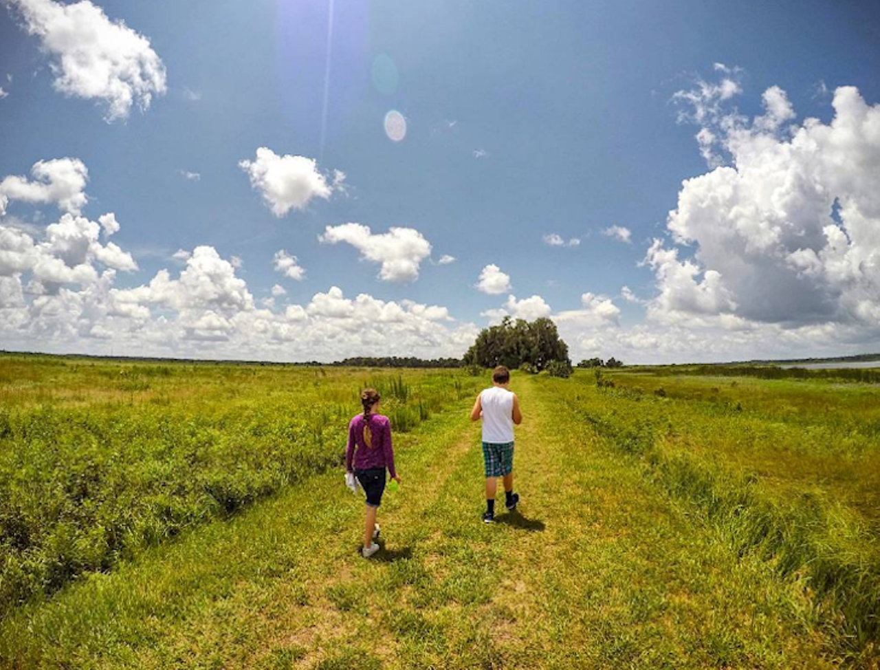 Twin Oaks Conservation Area
2001 Macy Island Road, Kissimmee, FL 34744
This easy grassy trail runs through reclaimed cattle land. Hikers are sure to spot some feathered wildlife in the tall grasses and huge oak trees that line the 1.9 mile path. 
Photo via ddsejak/Instagram