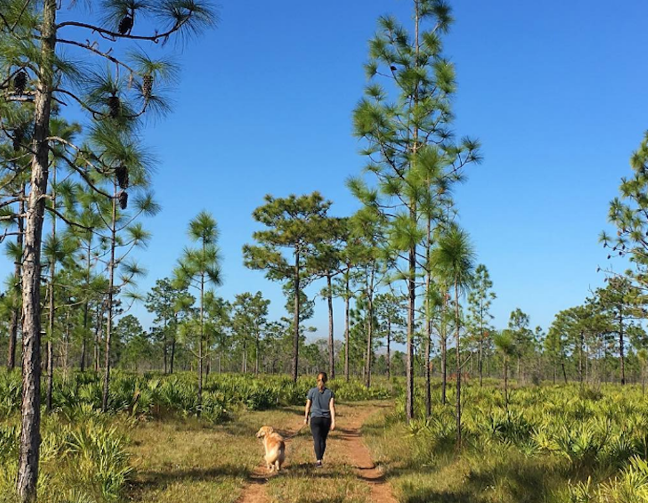 Hal Scott Preserve
4500 Dallas Blvd., Orlando, FL 32833
You&#146;ll probably spot some planes overhead on this vast prairie land located right outside Orlando International Airport. Jus don&#146;t let the jets overhead distract you from exploring 5-mile flat path. 
Photo via briellecerep/Instagram
