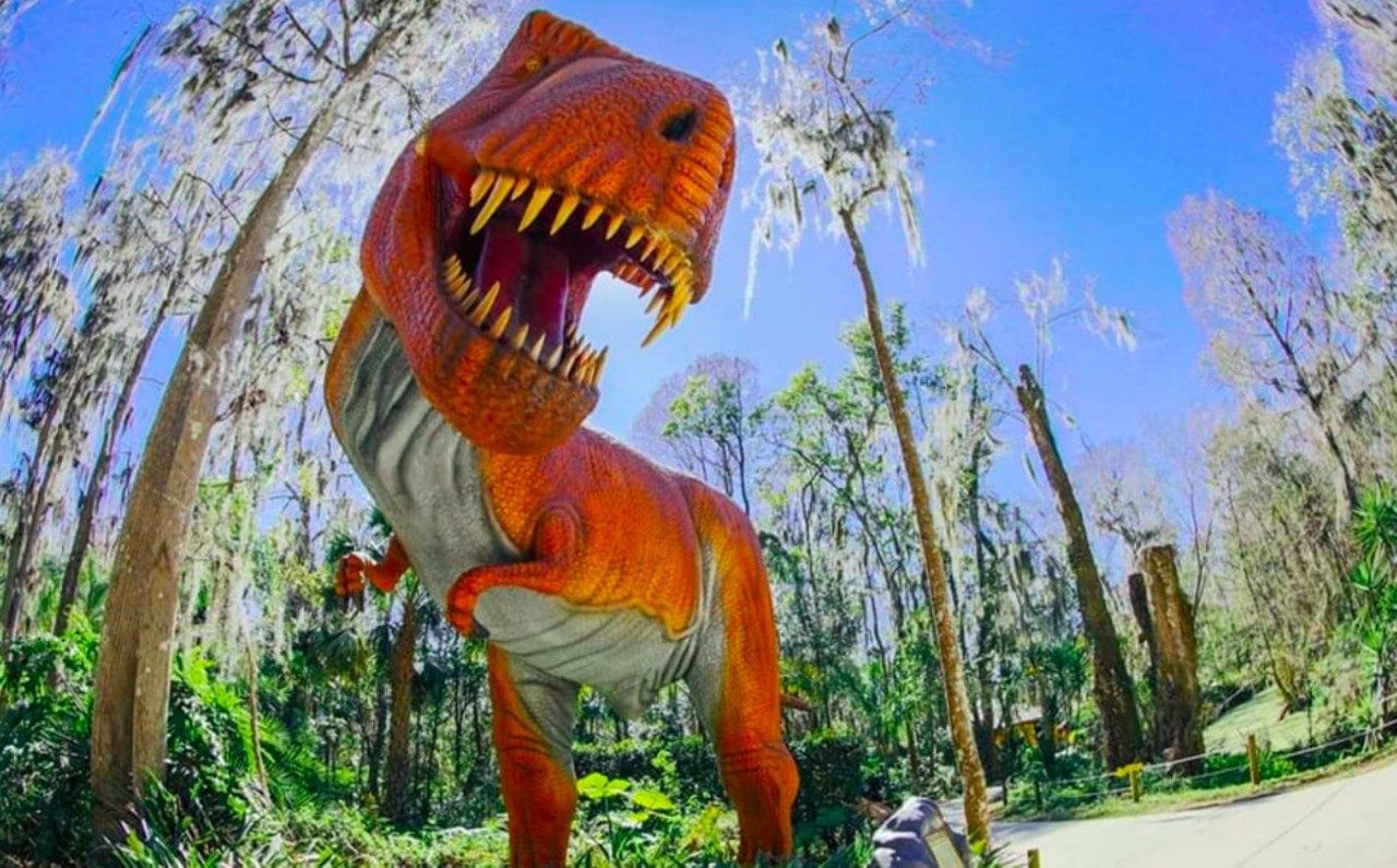 Dinosaur World
1 hour and 13 minutes from Orlando
Tampa Bay's own prehistoric playground is the perfect place to wander around hundreds of life-sized dinosaurs in natural settings. The attraction offers a dino-themed play area, a massive interactive boneyard and a museum featuring a collection of animatronic beasts.