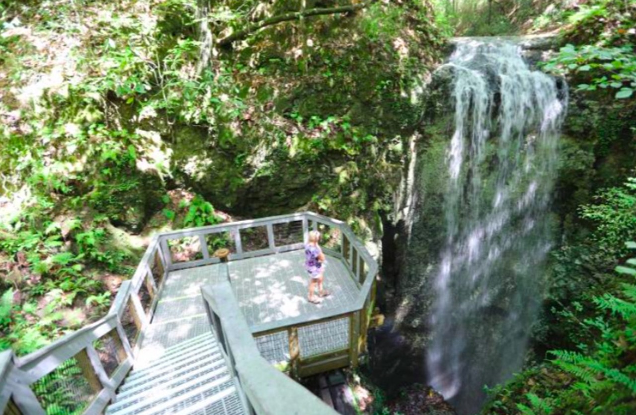 Falling Waters State Park
5 hours and 21 minutes from Orlando
Considering its flatness,  it’s surprisingly to know that Florida is home to several secret natural waterfalls. Falling Waters State Park in the Panhandle offers some of the best views and trails for waterfall sightseeing.
