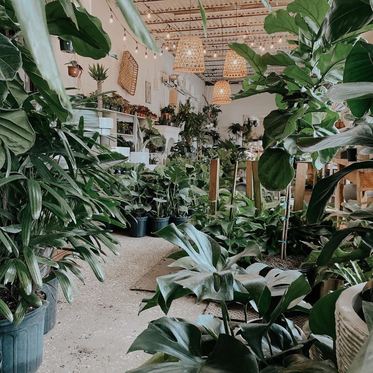The Heavy 
1152 Harmon Ave., Winter Park
It&#146;s no secret why the Heavy has become known as &#147;Winter Park&#146;s happy place.&#148; Between its coffee bar, myriad of plants, and hand-picked decor, the Heavy is a must-visit in Winter Park. 
Photo via The Heavy/Facebook