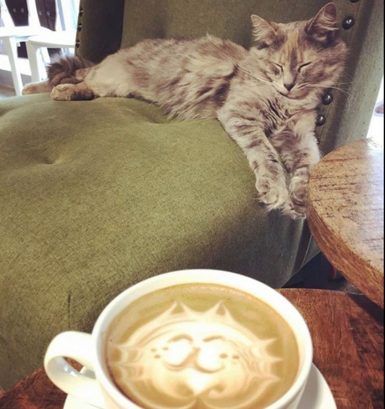 Pet some adorable fluffballs at Cat Cafe
Journey down to Clermont for a cat-lover&#146;s haven. Sip on some coffee and, for an $8 fee, pet and play with the cutest adoptable cats.More information here 
Photo via Orlando Cat Cafe/Facebook