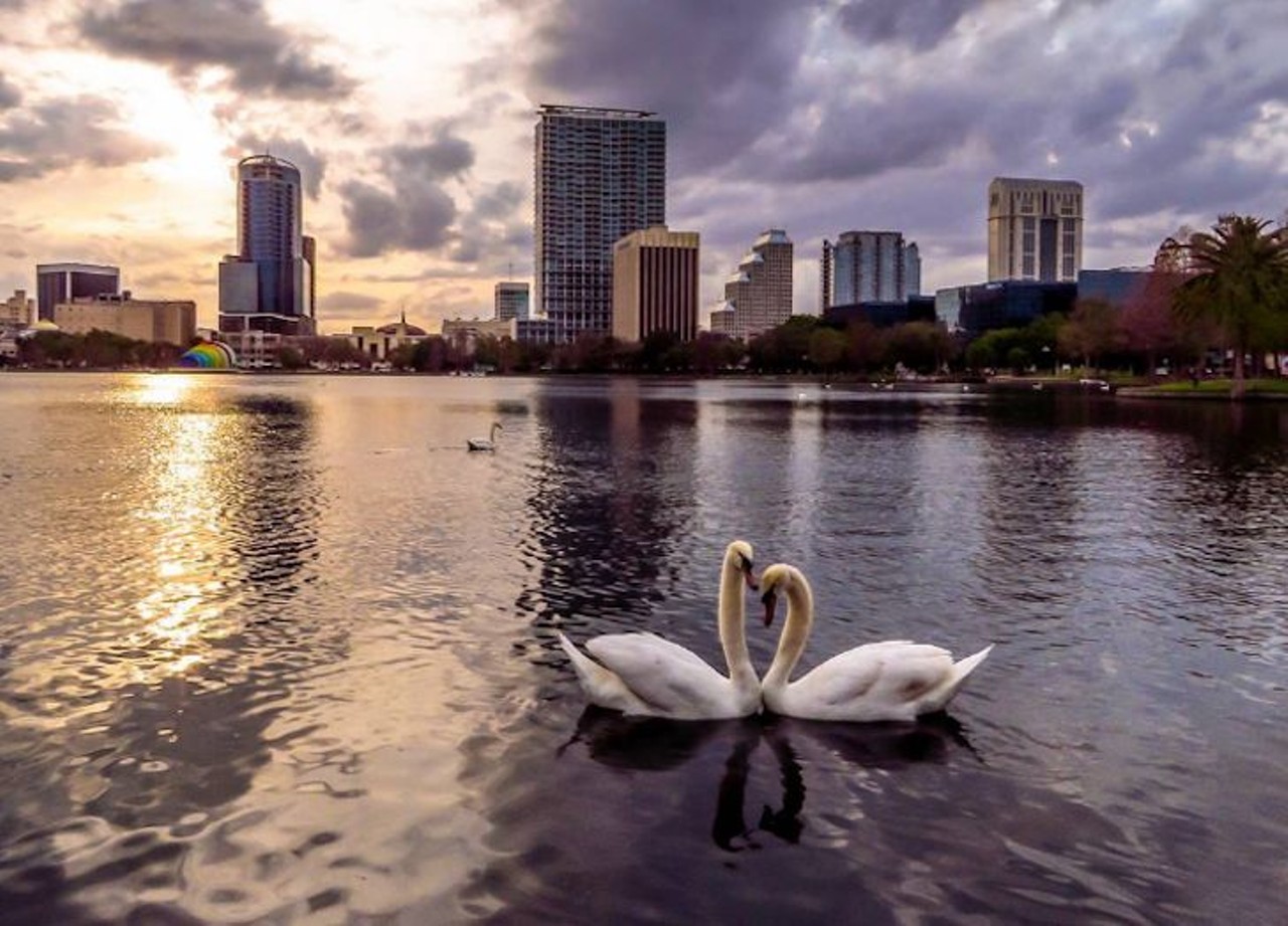 Lake Eola
512 E Washington St., 407-246-4484
In the heart of downtown, Lake Eola is the beating heart, the very symbol, of Orlando. No matter how tacky you might think it is, every resident should hit the water and rent one of the famous swan-shaped paddle boats: you might just see a new perspective of the city you love. 
Photo via a_leclercv/Instagram