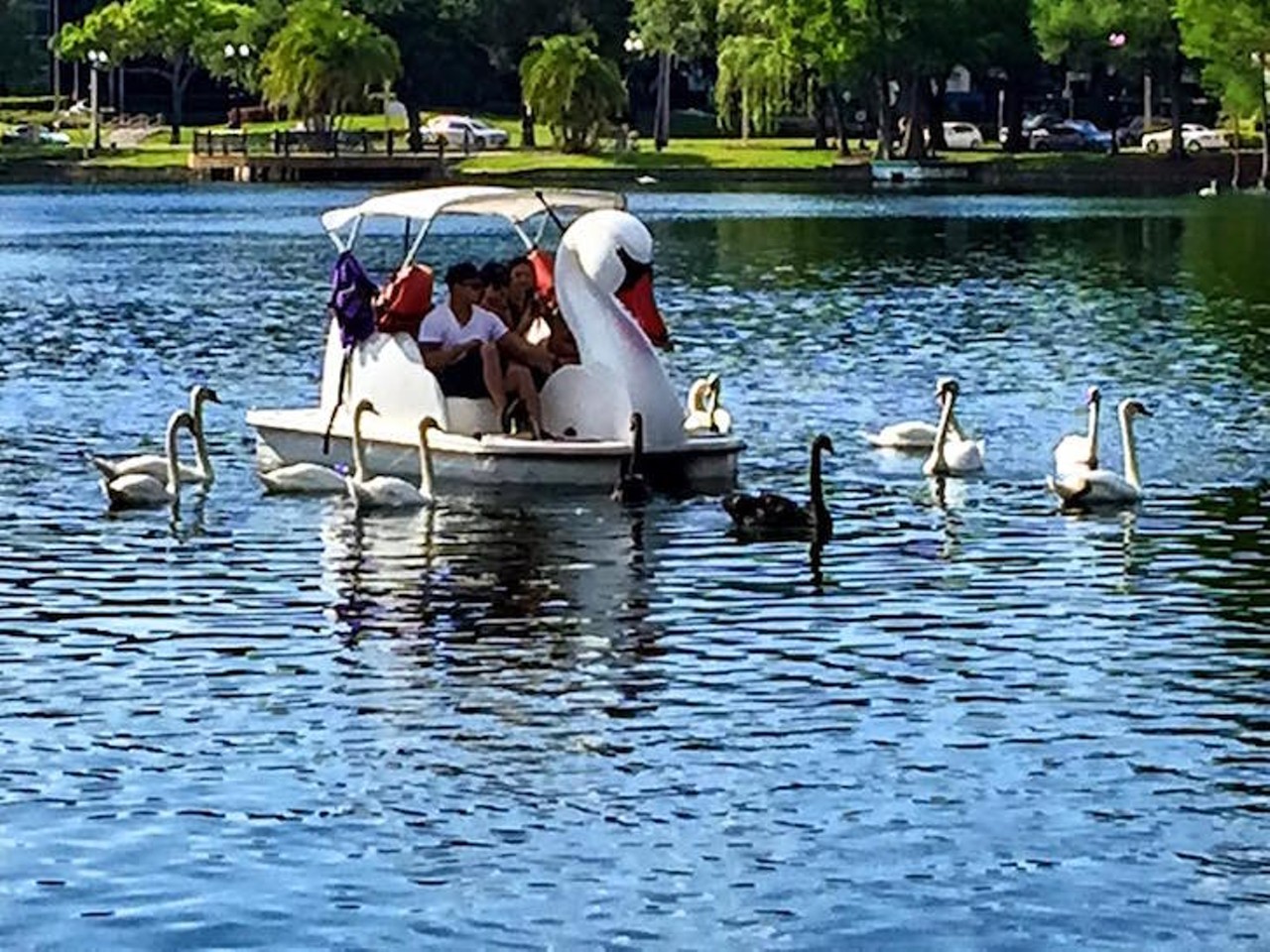 Lake Eola Park
512 E. Washington St.| 407-246-4484
In the heart of downtown, Lake Eola is the beating heart of Orlando. You can rent swan-shaped paddle boats, feed the swans that roam the park, catch a concert at the Walt Disney Amphitheater, or just relax and enjoy the sounds of the fountain.
Photo via Lake Eola Park/Facebook