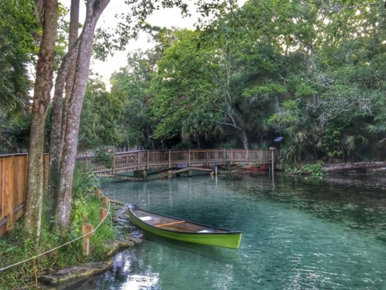 Wekiwa Springs
1800 Wekiwa Cir, Apopka, FL 32712; 30 minutes from Orlando 
One of the more popular springs in the area, it&#146;s recommended that you get there early to be sure you&#146;ll find a parking space. Maybe it&#146;s due to the Wekiwa River being only one of two National Wild & Scenic Rivers recognized in the state or the many ways you can travel down the stream of water (canoe, kayak or paddle board), but the fact remains that this is a must for any Orlandoan.  
Photo viacozzy_zy/Instagram