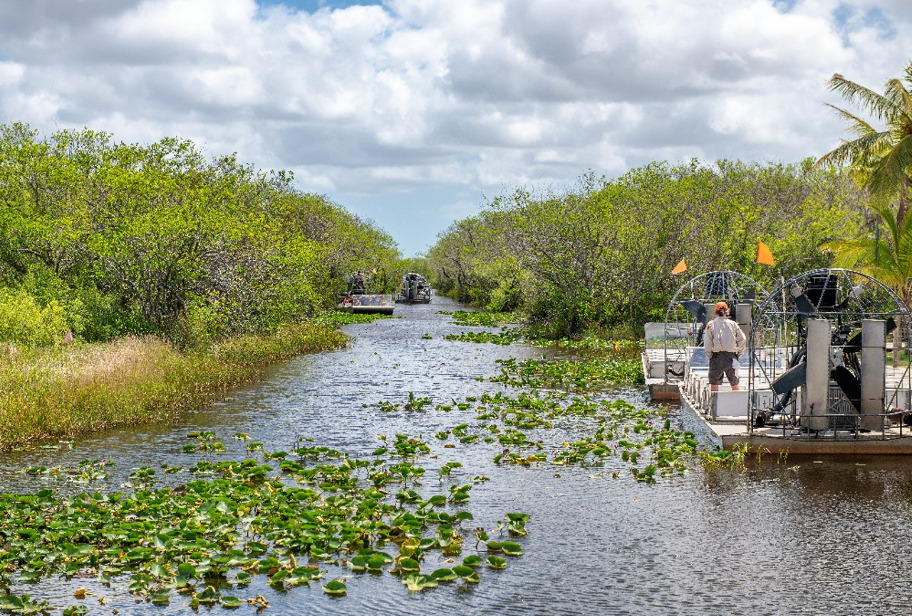 Take an airboat ride
As much as we try to build over it, the swamp persists. Take your Wisconsin uncle out to relive the credits of Miami Vice.
Photo via Adobe.