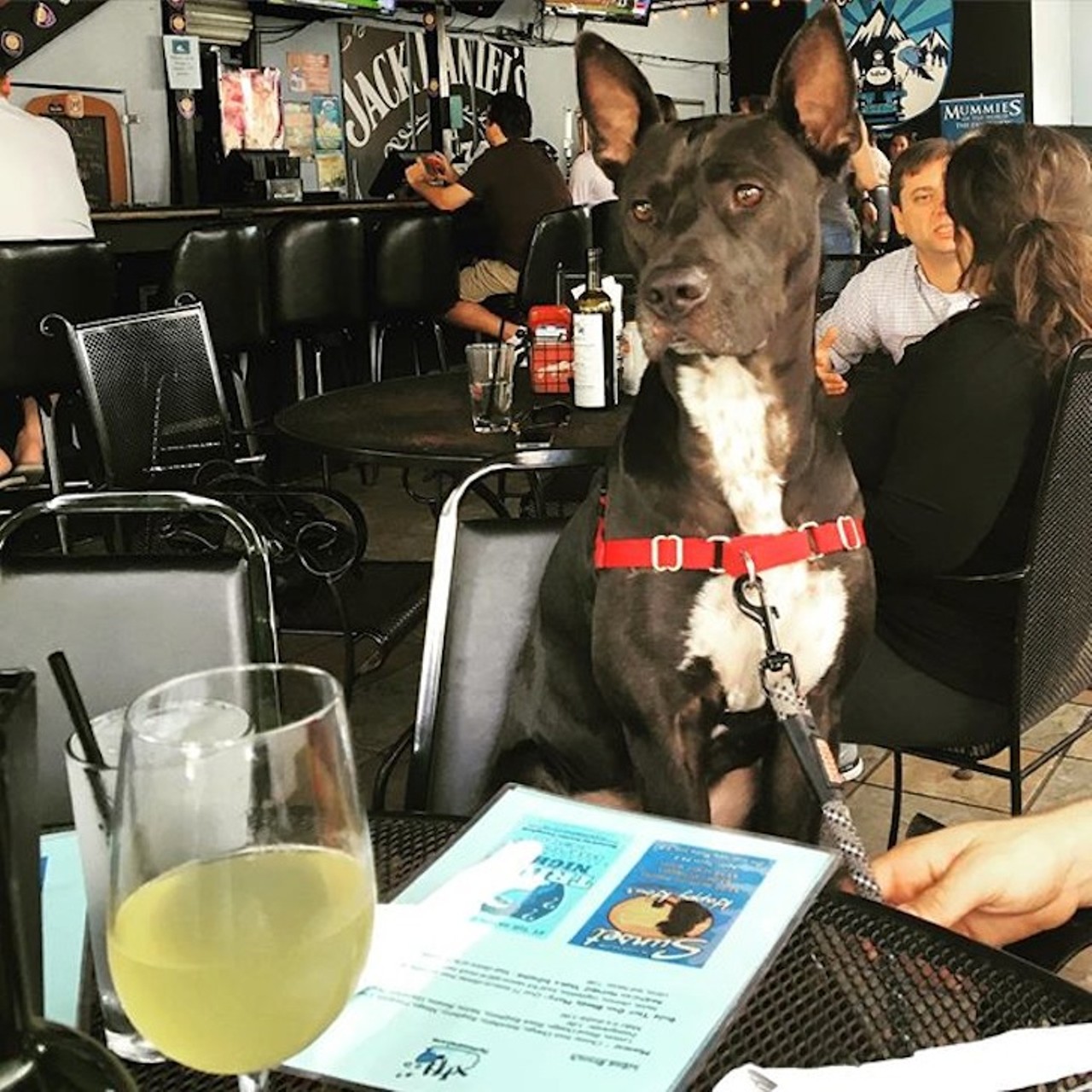 The Hammered Lamb
1235 N. Orange Ave. | 407-704-3200
This cozy neighborhood tavern across from Lake Ivanhoe encourages four-legged friends and an appetite for great food and drinks. What&#146;s better than that?
Photo via zmosbarger/Instagram