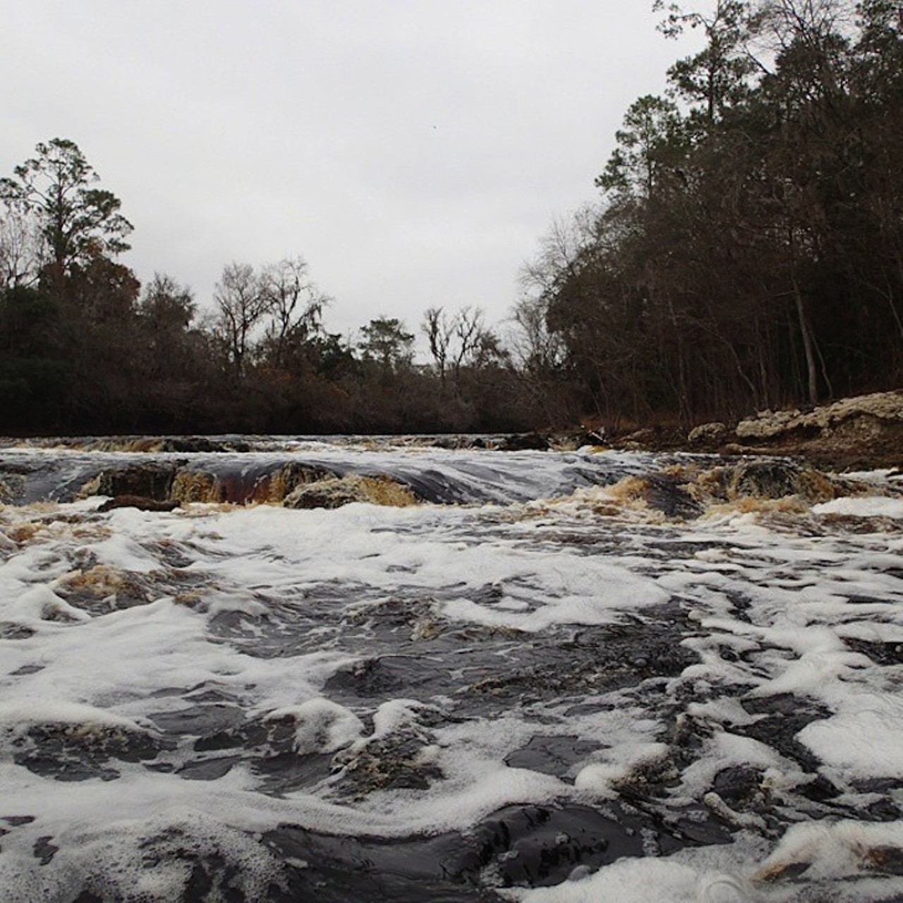 Big Shoals State Park
11330 S.E. County Road 135, White Springs, FL 32096 | (386) 397-4331 
Go for a hike on Big Shoals&#146; 1-mile Yellow Blaze Trail and reward yourself to a breathtaking set of rapid waters on the historic Suwannee River. If you&#146;re feeling particularly daring, give whitewater kayaking or canoeing a try at Big Shoals. 
Photo via lauraandtheriver/Instagram