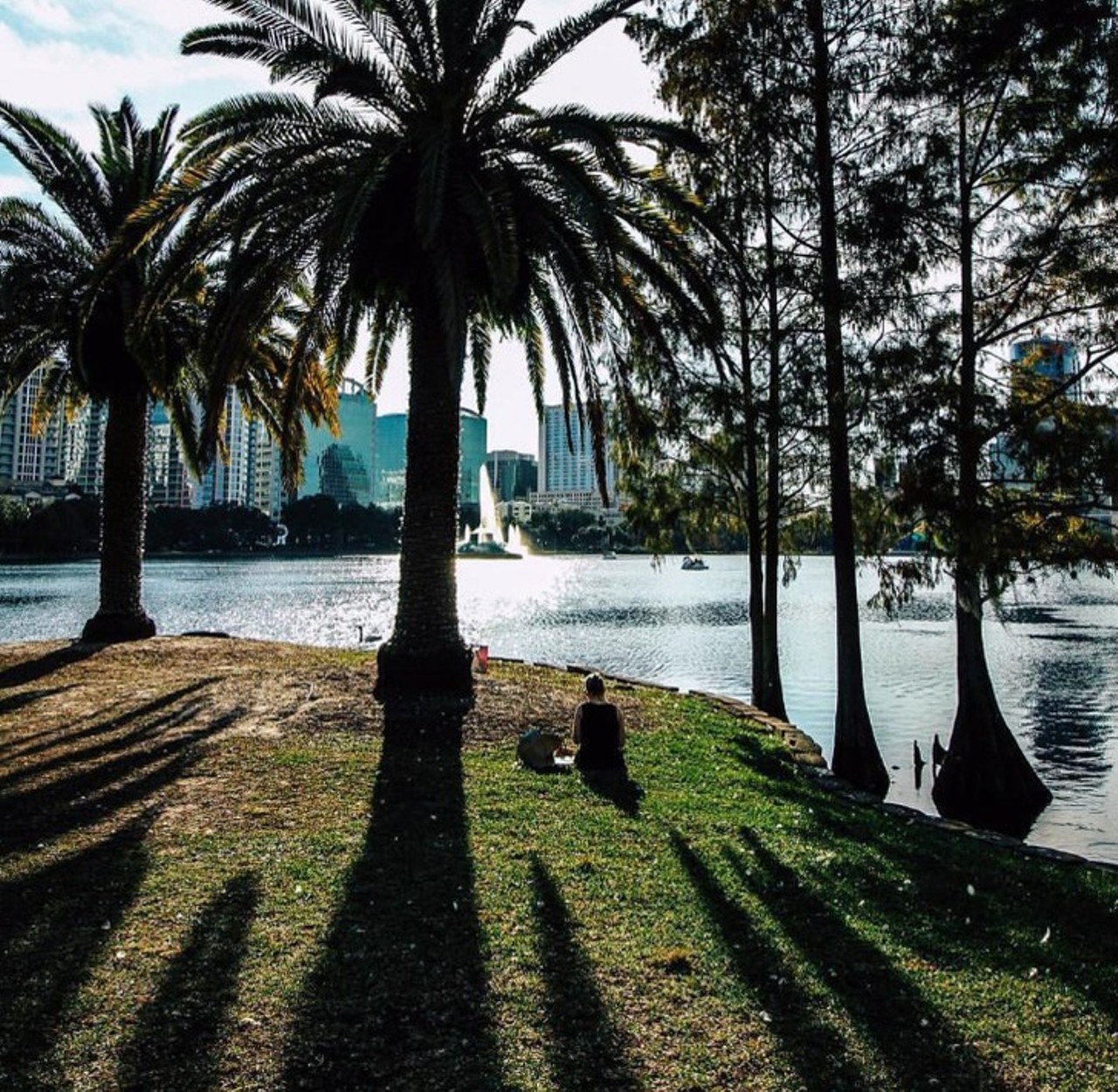 @aroundDowntownOrlando
Locales around town that you sprint by on your daily routines are frozen and cheer-infused on this account, highlighting your city&#146;s finer traits.