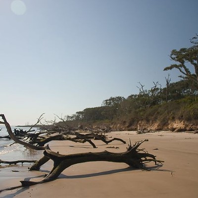 Boneyard Beach     2 hours, 30 minutes    Along Boneyard Beach, visitors can find massive driftwood trees scattered along the shore. It&#146;s the perfect spot for a picture or watching the crashing waves.         Photo via oliver.dodd/Flickr