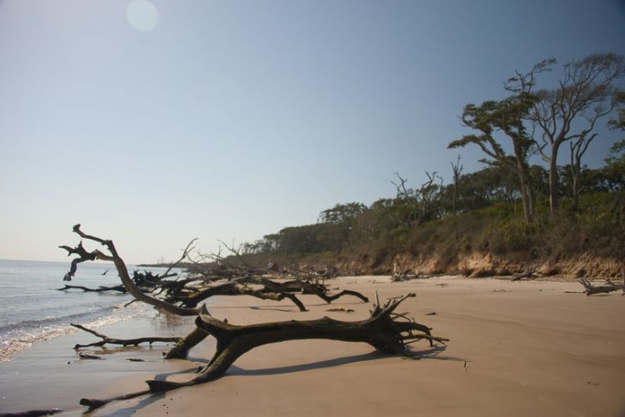 Boneyard Beach 
2 hours, 30 minutes
Along Boneyard Beach, visitors can find massive driftwood trees scattered along the shore. It&#146;s the perfect spot for a picture or watching the crashing waves. 
Photo via oliver.dodd/Flickr