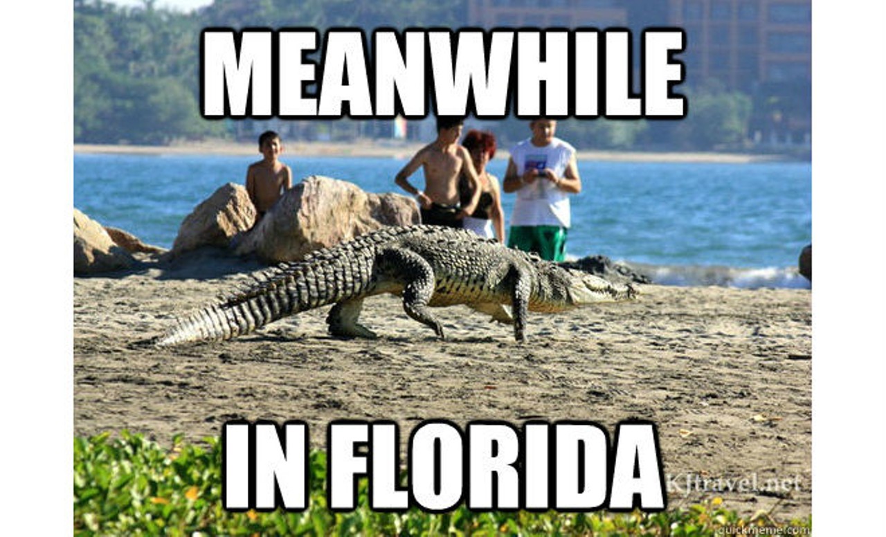 Except for the ones about gators.