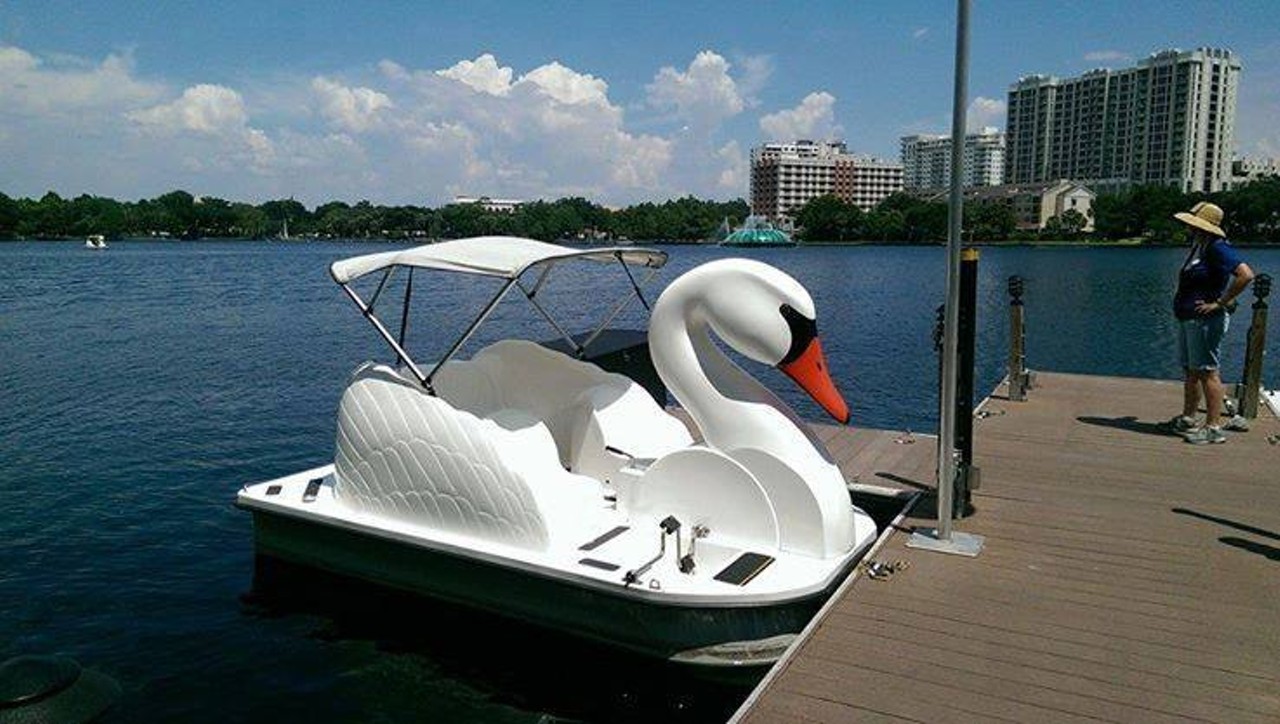 Beautiful day for a swan boat ride at Lake Eola Park.