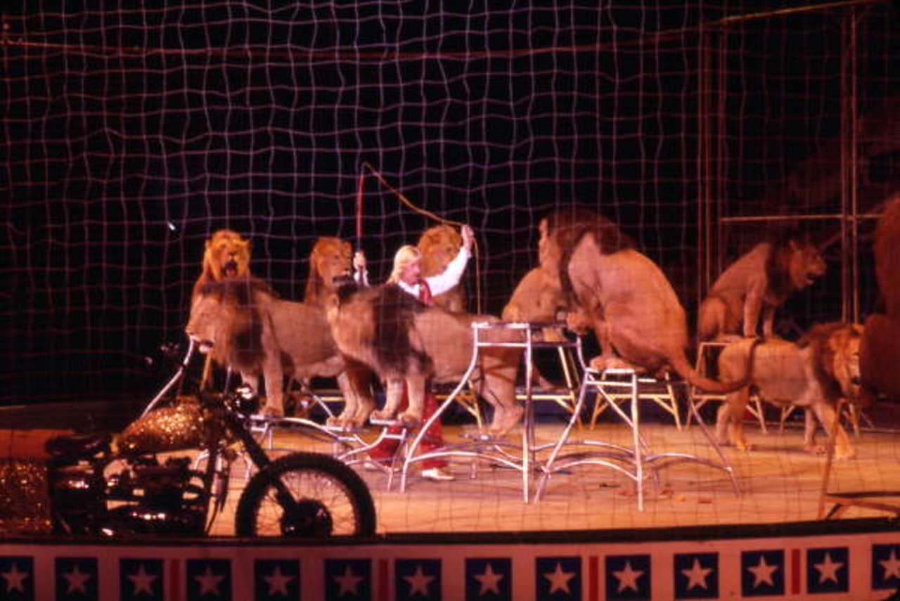 There are also lion tamers and other Big Top-type performances (via floridamemory.com).