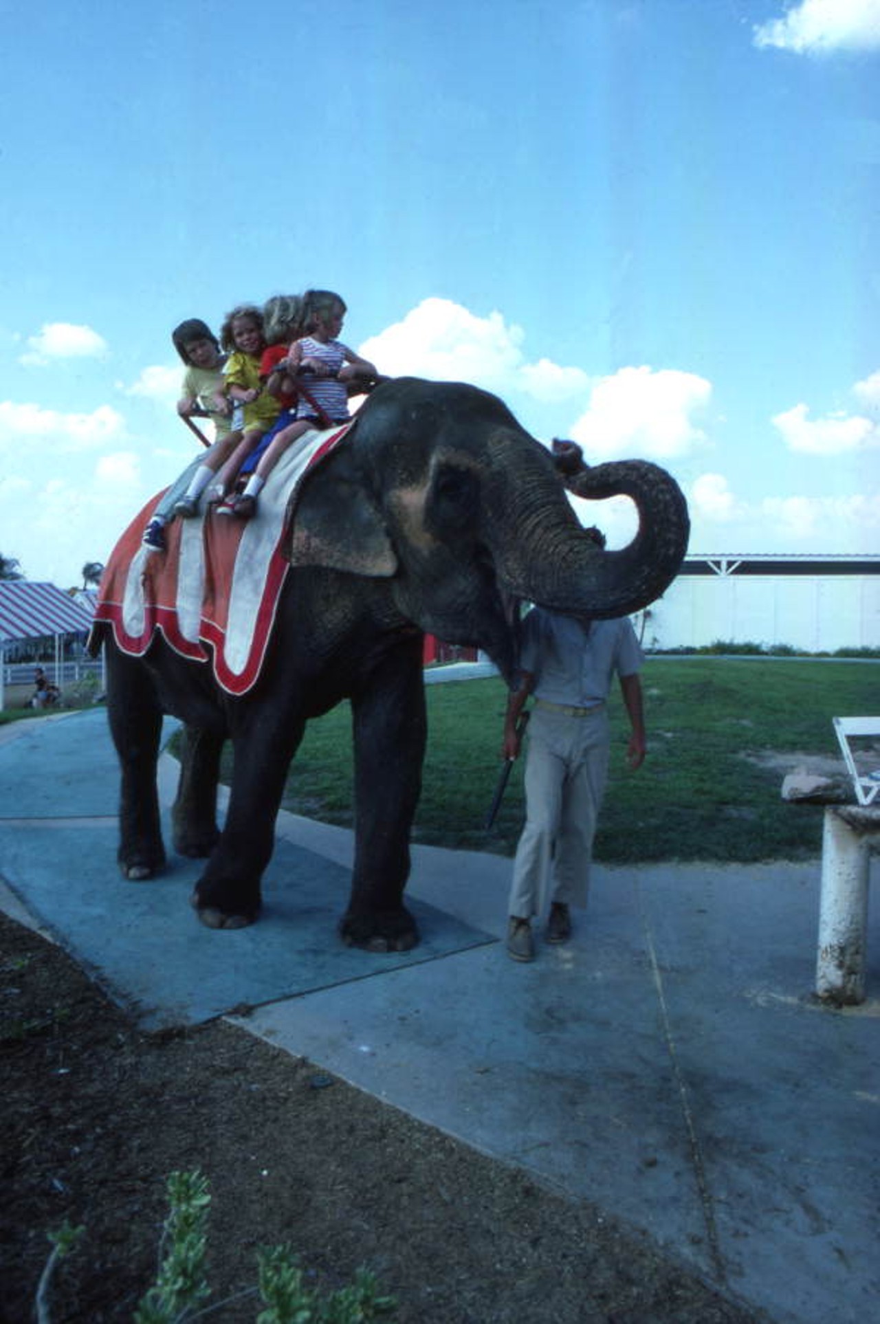 And, of course, elephant rides. (via floridamemory.com)