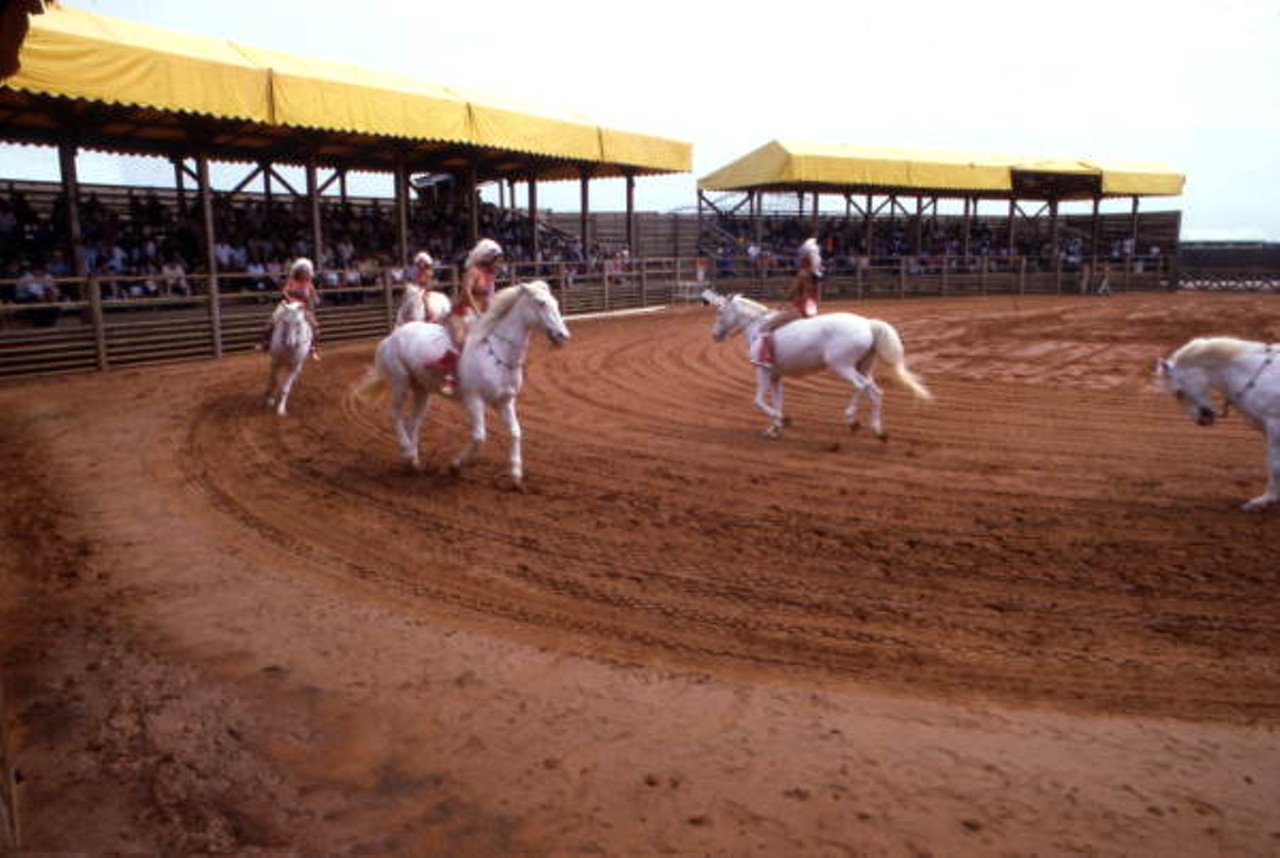 As the years wore on, Circus World expanded to include a Great Western Stampede and other spectacles. (via floridamemory.com)